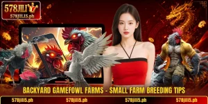 Backyard Gamefowl Farms – Small Farm Breeding Tips