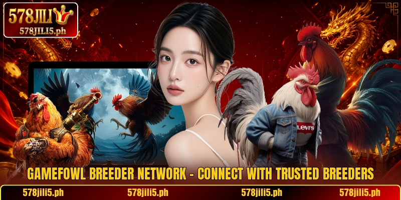 Gamefowl Breeder Network – Connect With Trusted Breeders