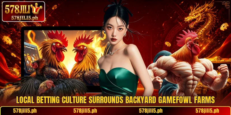 Local betting culture surrounds backyard gamefowl farms