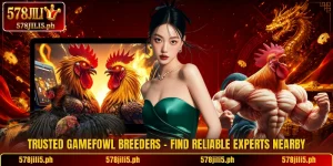 Trusted Gamefowl Breeders – Find Reliable Experts Nearby