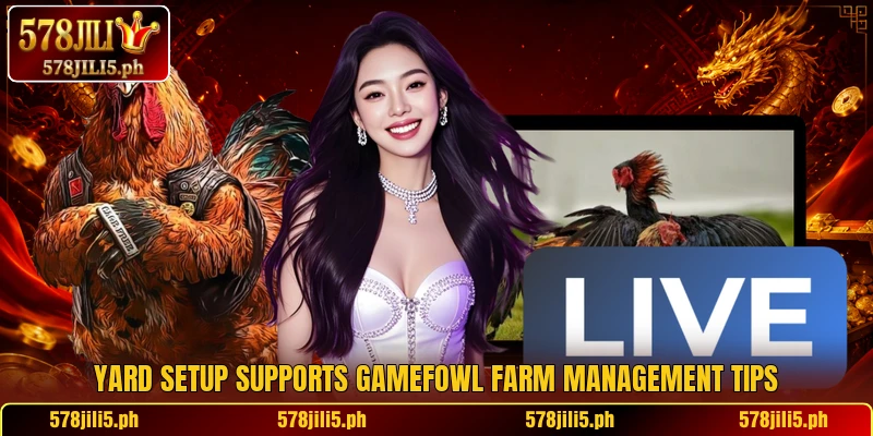 Yard setup supports gamefowl farm management tips